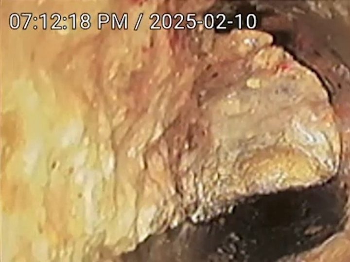기름 찌꺼기가 잔뜩 낀 배관 속